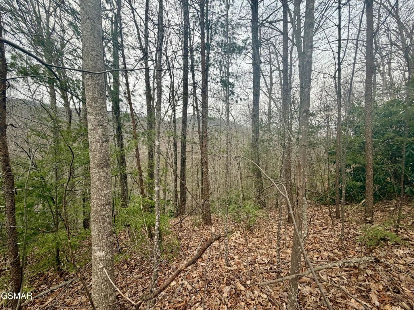 Vacant Land in Gatlinburg - Gatlinburg, Tennessee, 37738