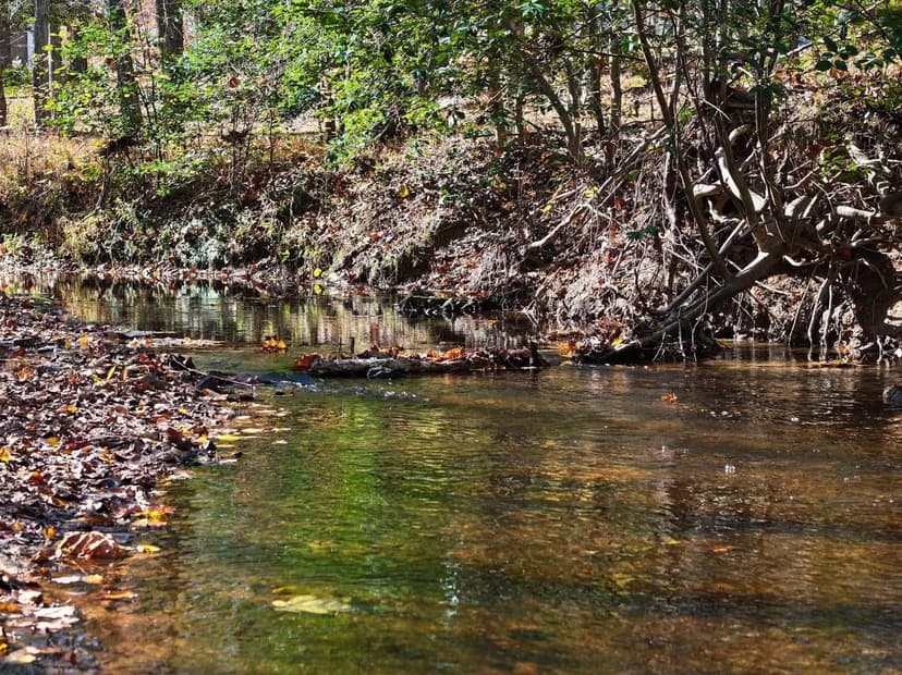Oasis at Jones Creek: 78+/- acres of streamside serenity in Powhatan County, VA