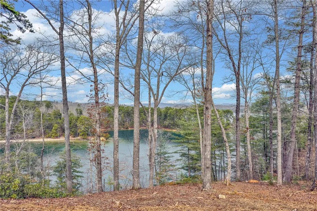 Vacant Land in Salem - Salem, South Carolina, 29676