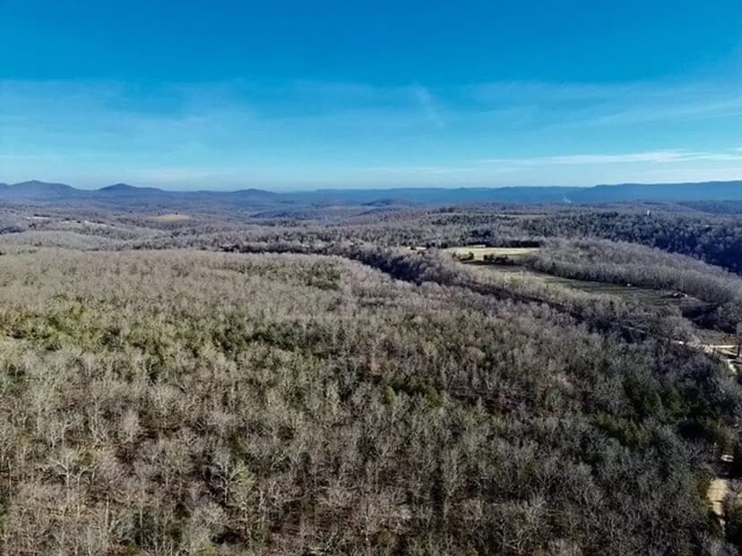 Spring House special