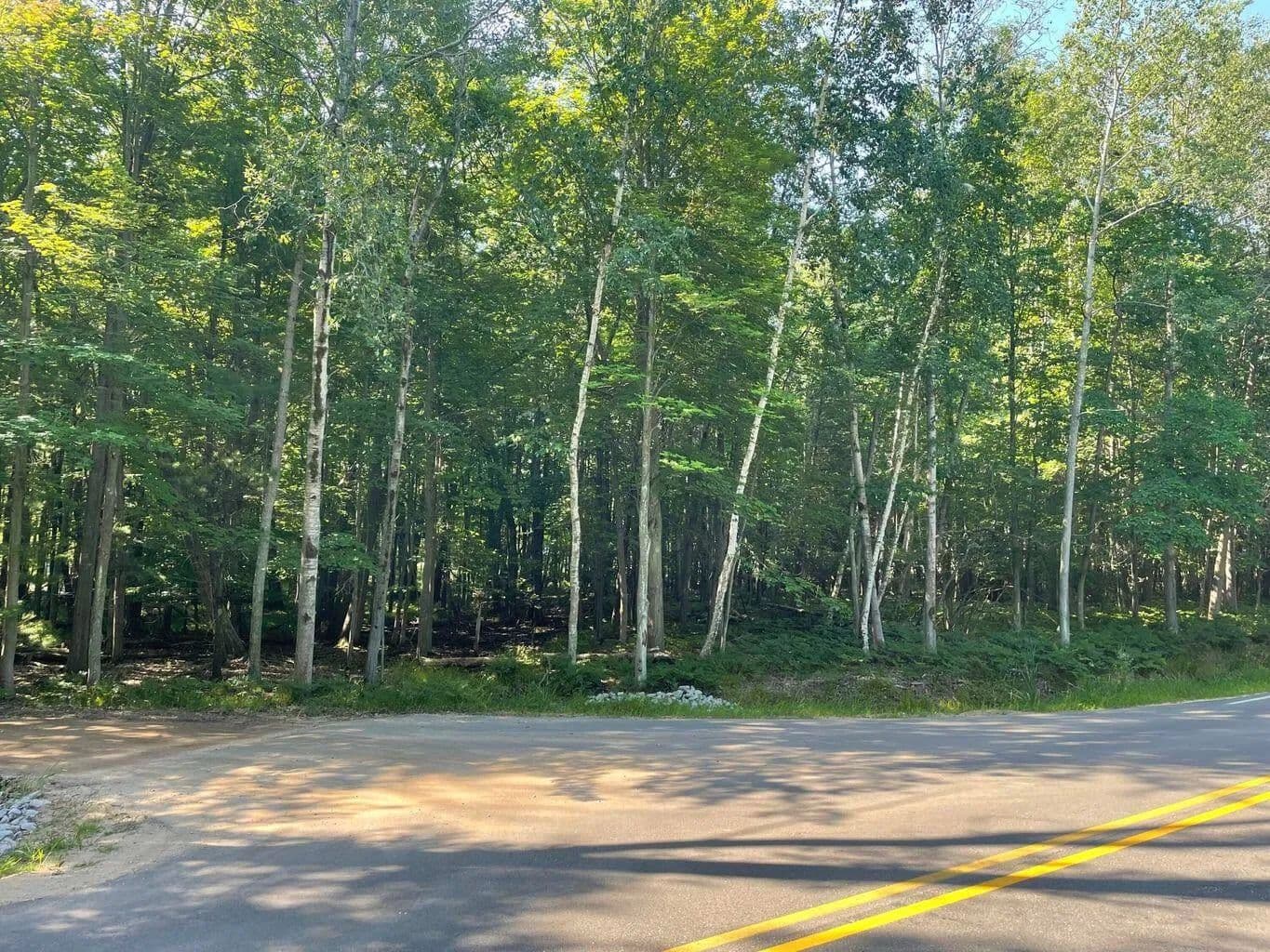 Lots & Land-Other in Mears - Mears, Michigan, 49436