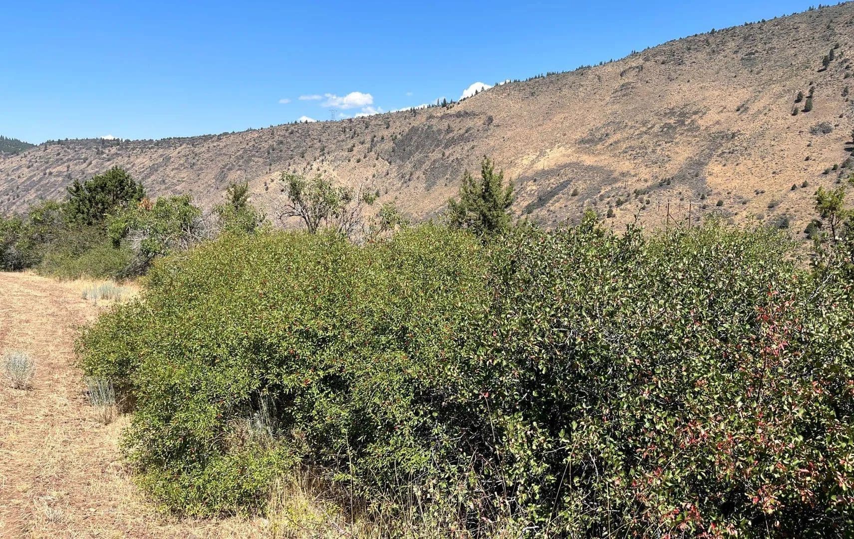 Lots & Land-Other in Klamath Falls - Klamath Falls, Oregon, 97601