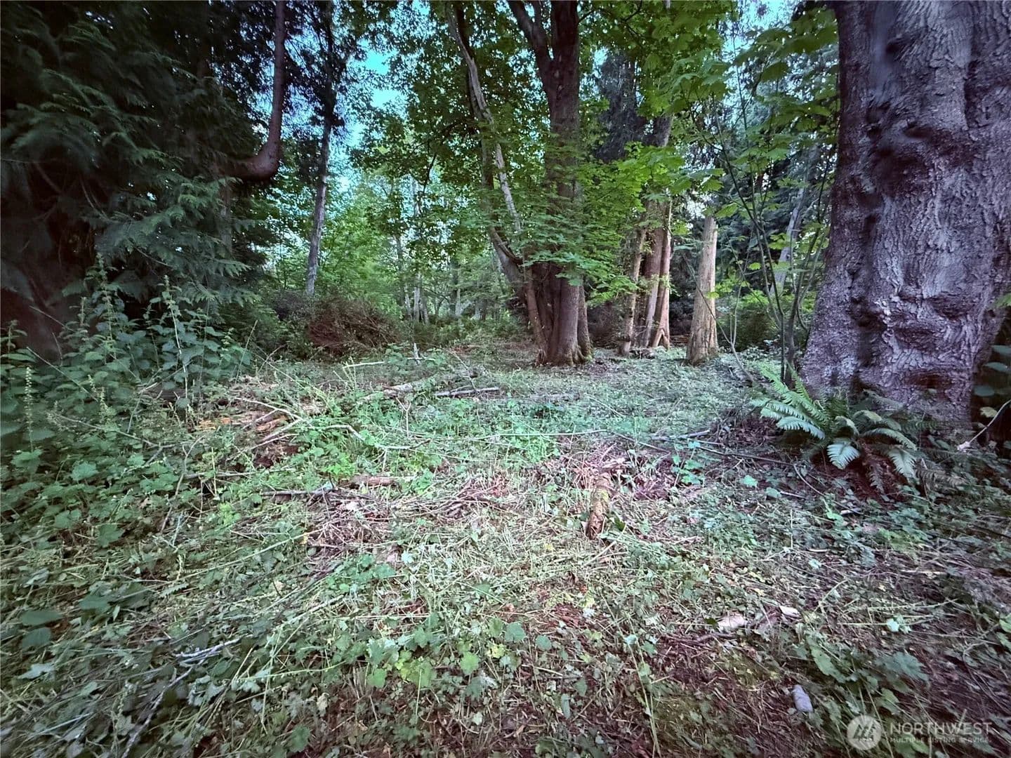 Vacant Land in Hat Island - land for sale