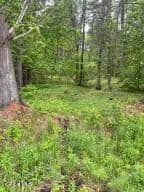 Land -Single Family Acreage in Johnsburg - Johnsburg, New York, 12886