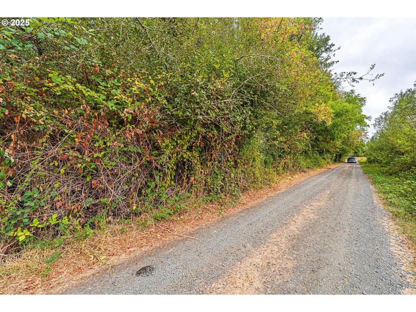 Lots & Land-Other in Alvadore