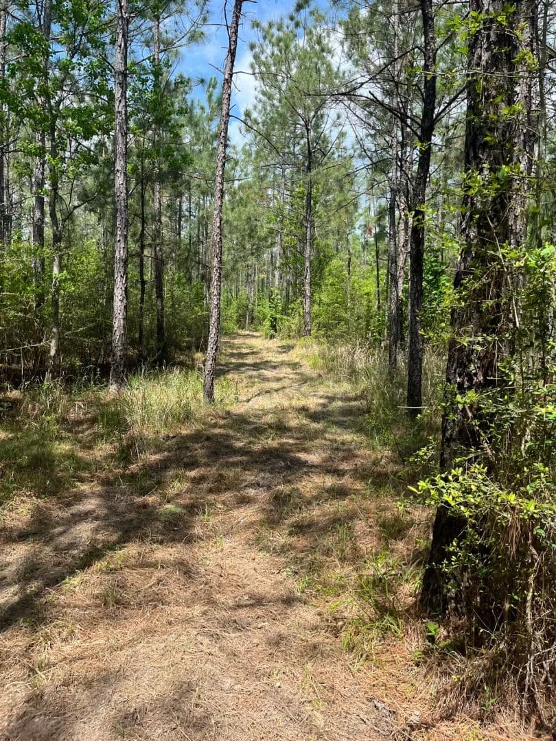 Plainview Pines Tract 2
