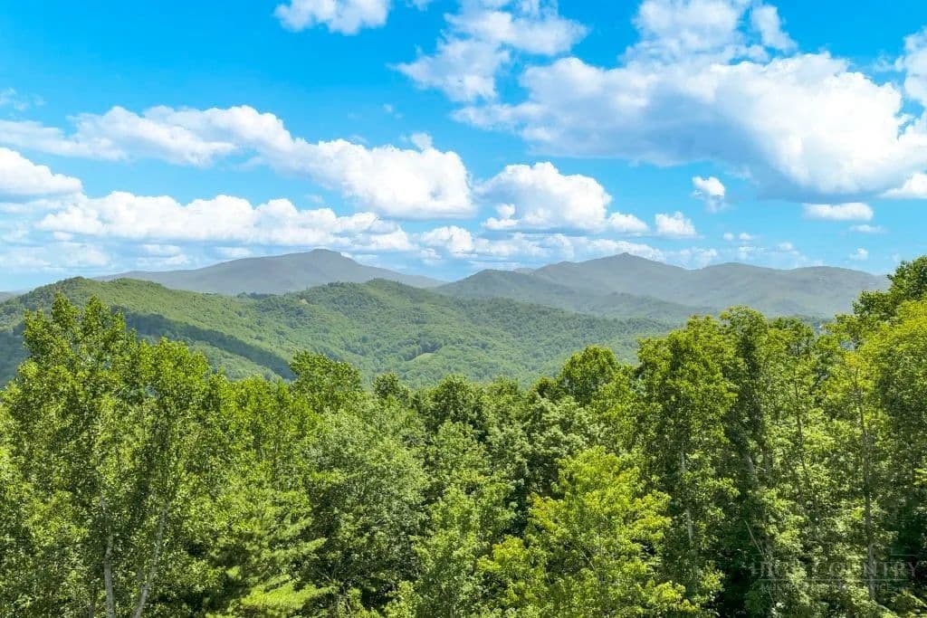 37.22 Acres of Land for Sale in Vilas, NC - Vilas, North Carolina, 28692