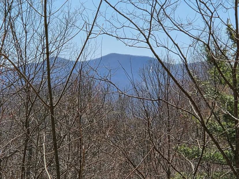 Property from Lot 15 Sanctuary Lane - KW