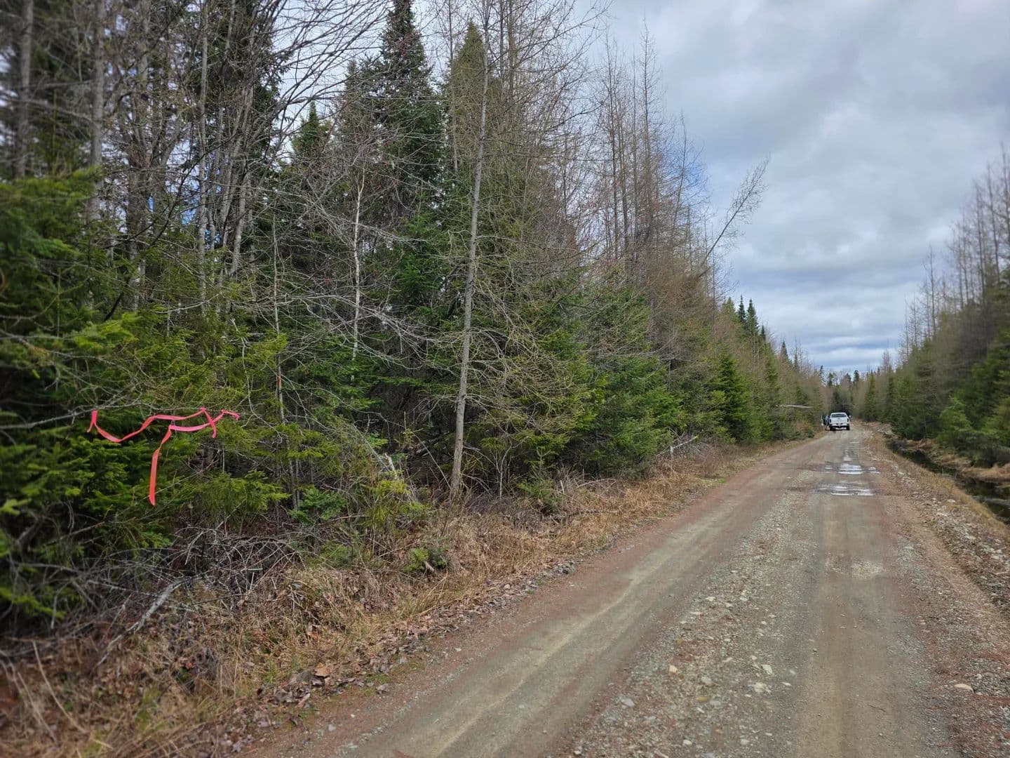 39 Acres of Land for Sale in Aroostook County, Maine - Maine, 04762