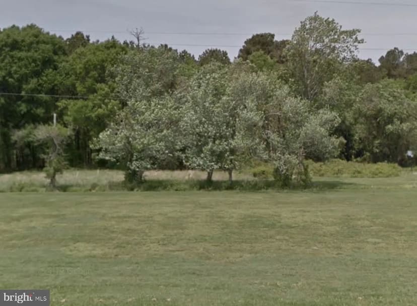 Lots & Land-Other in MARION STATION