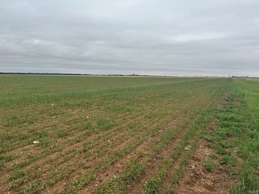 NEW LISTING!! 12.6 +/- AC TBD FM 126 (TR 3), JONES COUNTY