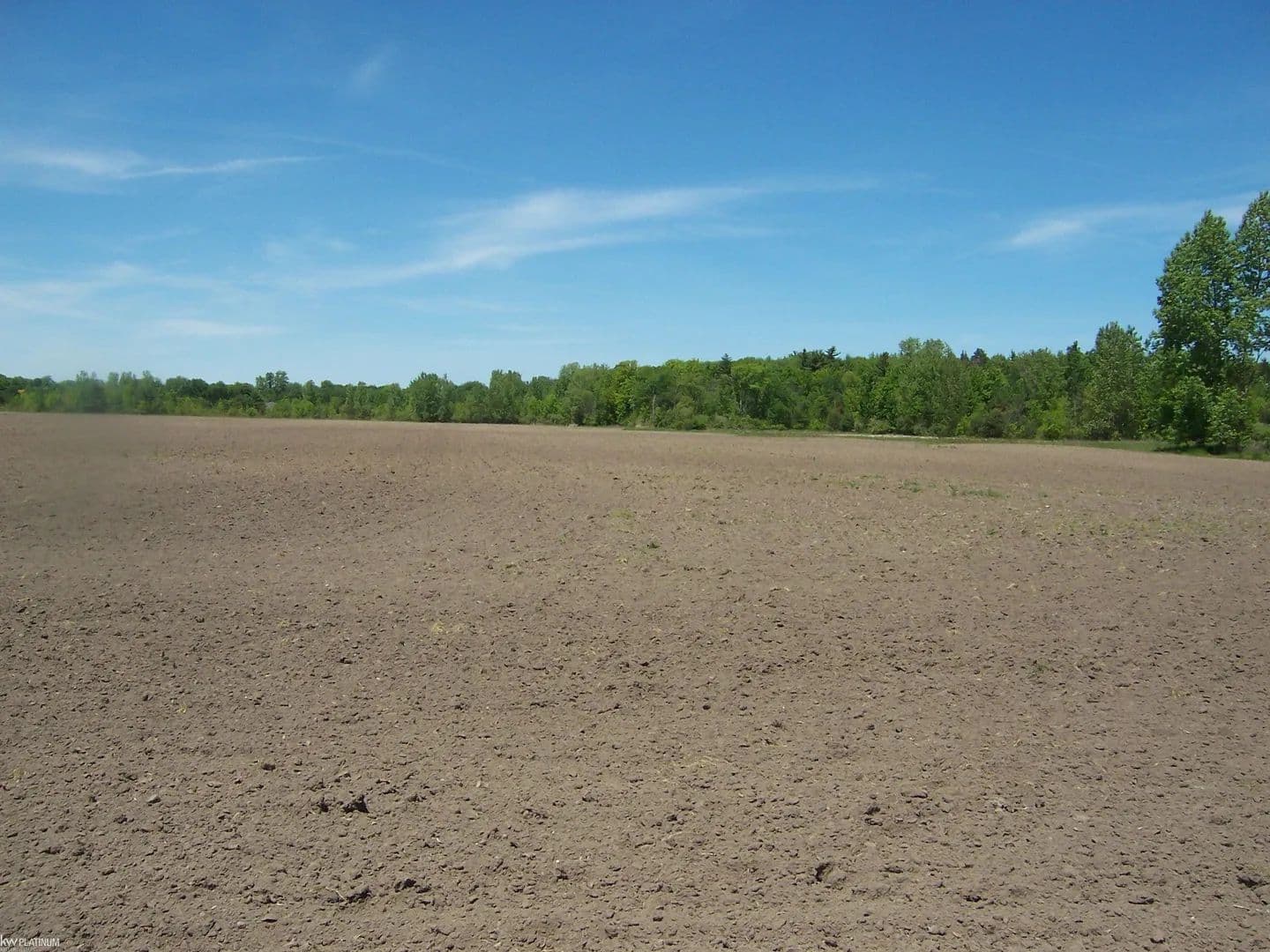 Property from Lot 8 Lapeer Rd Road - KW - , Michigan, 48074