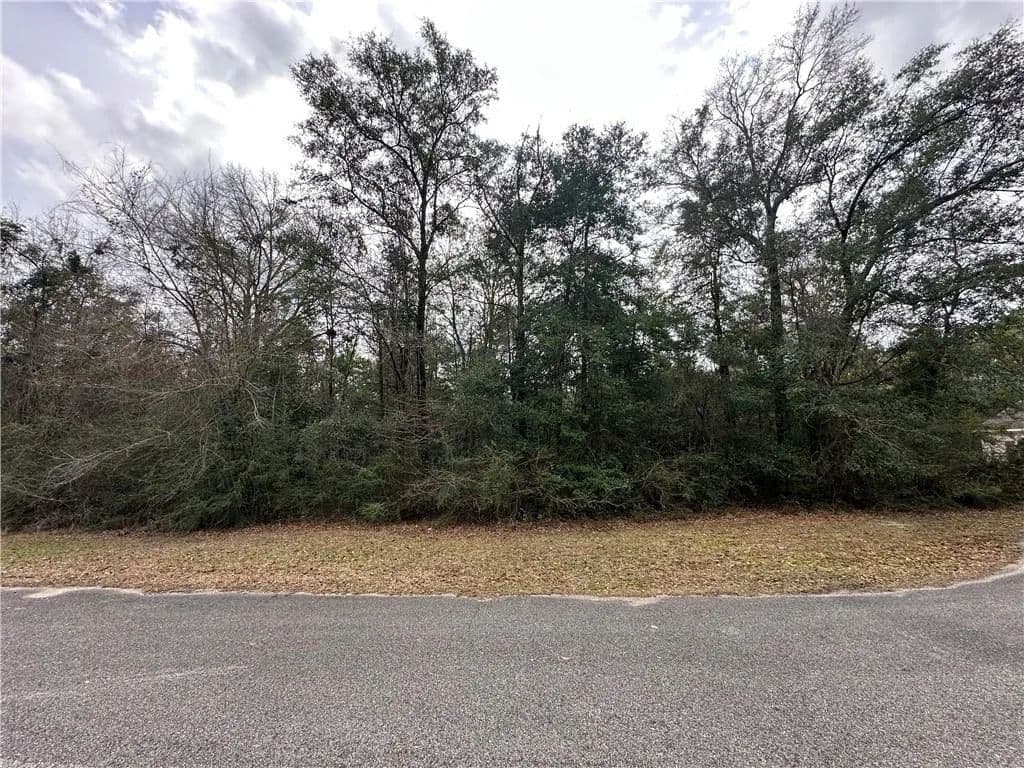 Vacant Land in Wilmer - Wilmer, Alabama, 36587