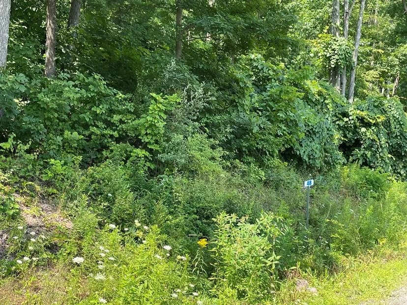 Lots & Land-Other in Towanda
