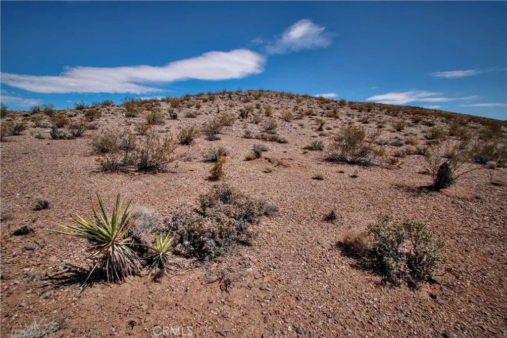 Lots & Land-Other in Joshua Tree - Joshua Tree, California, 92252