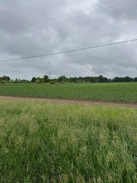 Property from V/L Satterlee Road - KW - Greenville, Michigan, 48838