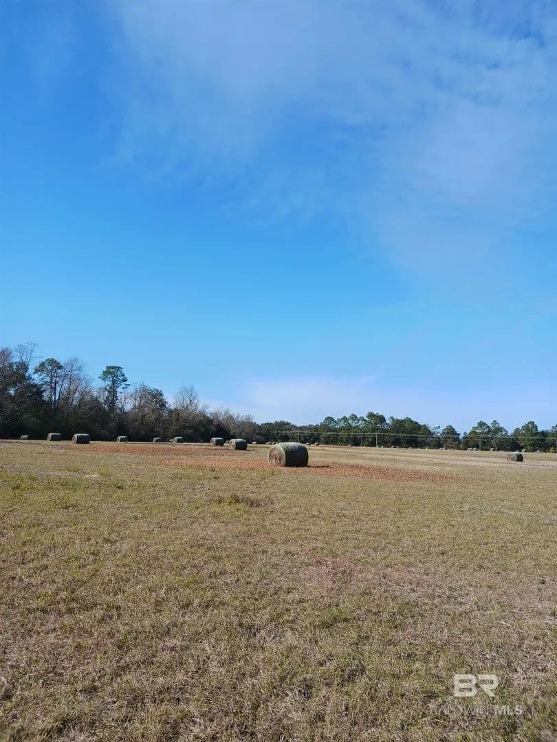 Lots & Land-Other in Summerdale - Summerdale, Alabama, 36580