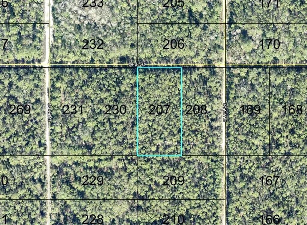 Vacant Land in Hastings - Hastings, Florida, 32145