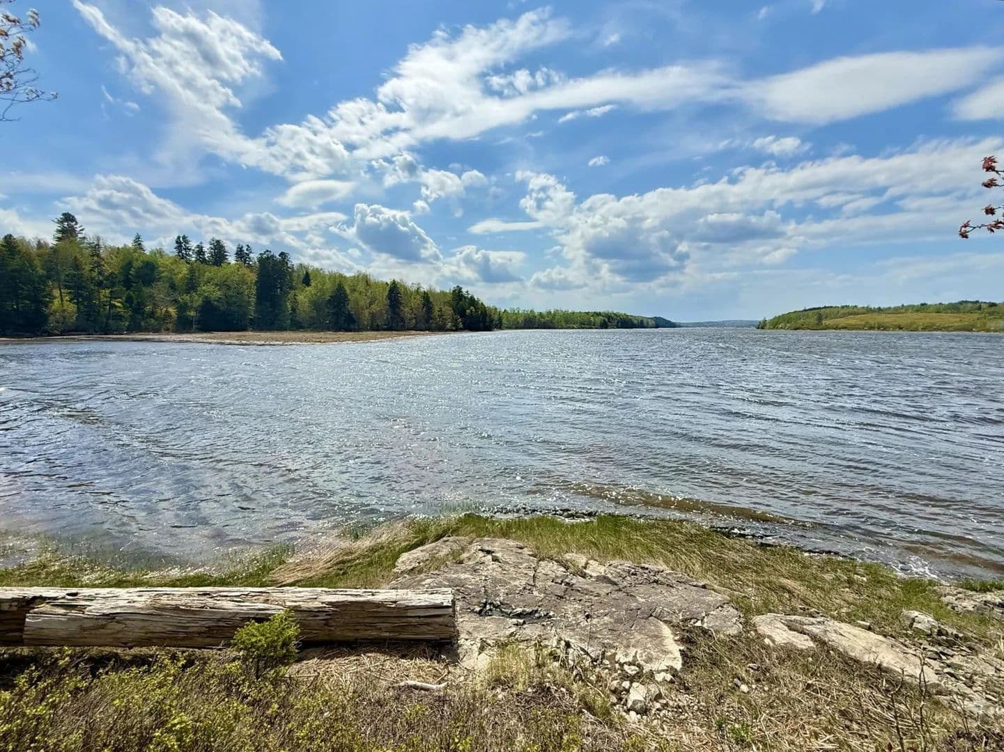 Land -Single Family Acreage in Machiasport - Machiasport, Maine, 04655