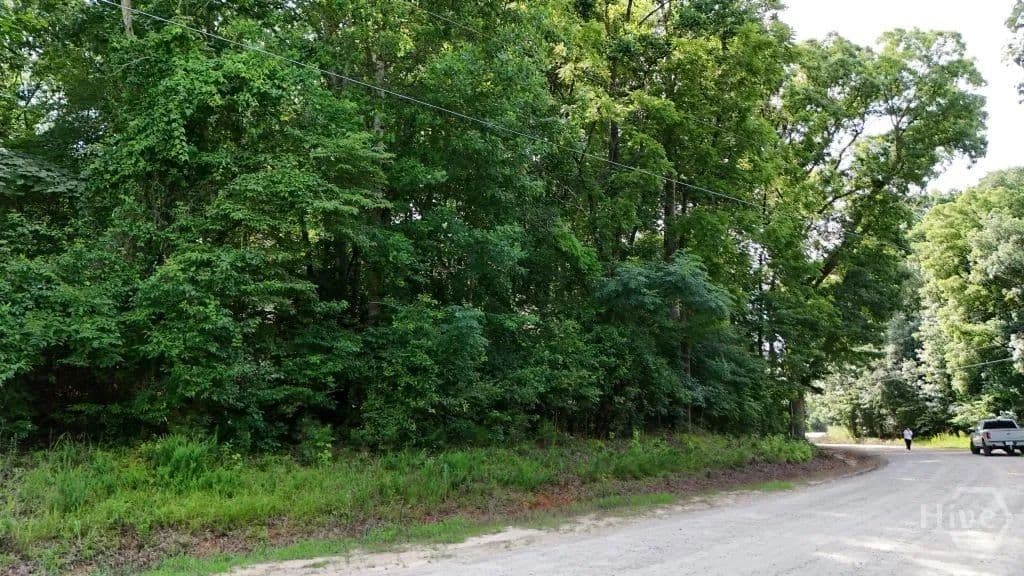 Vacant Land in Danielsville - Danielsville, Georgia, 30633