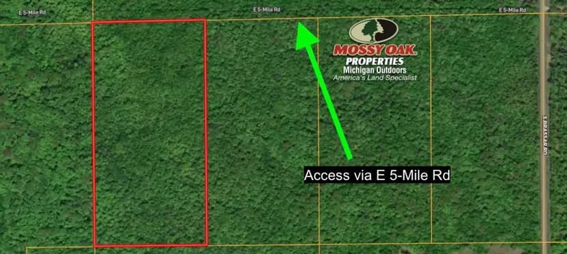 20 +/- Acres / Sugar Island / Chippewa County, MI / Upper Peninsula / Recreational Retreat / Land For Sale