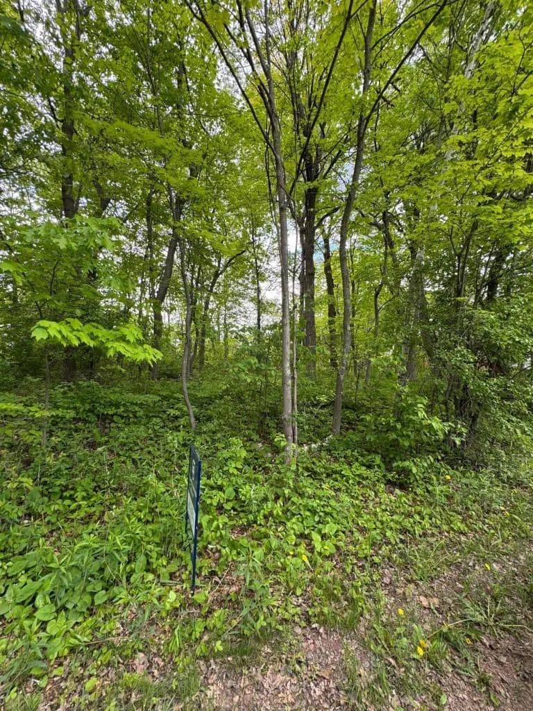 Vacant Land in Stacy - Stacy, Minnesota, 55079