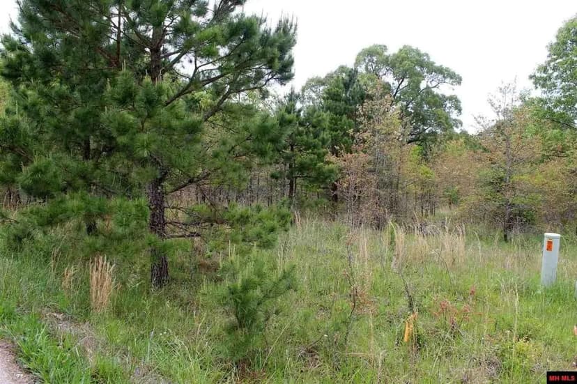 Lots & Land-Other in Salesville