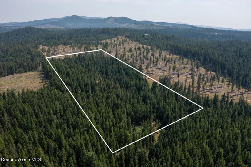 Property from NNA Baum Rd. - KW