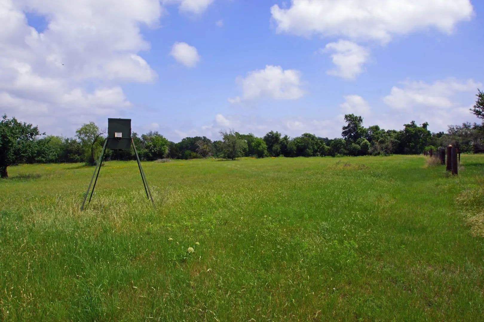 Vacant Land in Briggs - land for sale