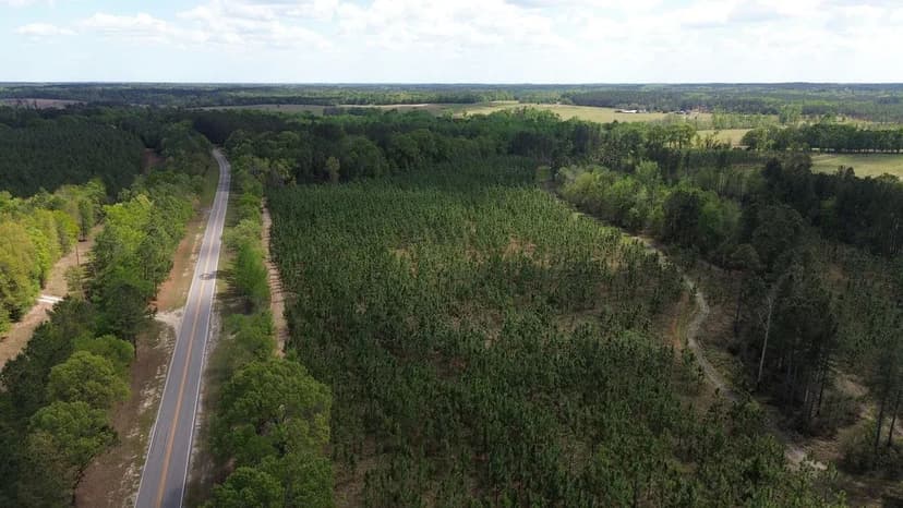 Longleaf Sportsman Tract 2 at Old Poor Robin