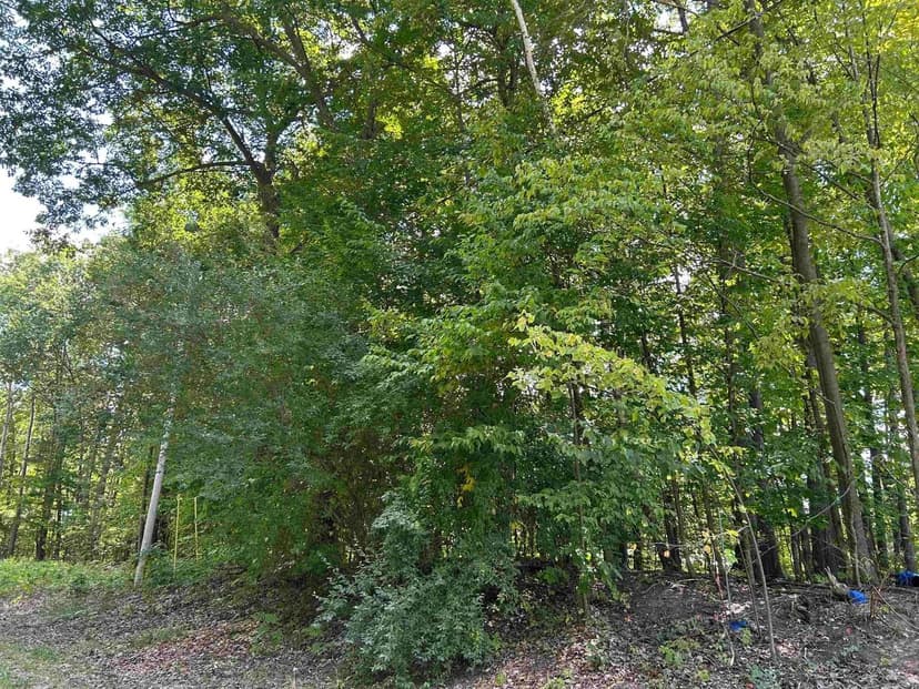 Lots & Land-Other in Gladwin