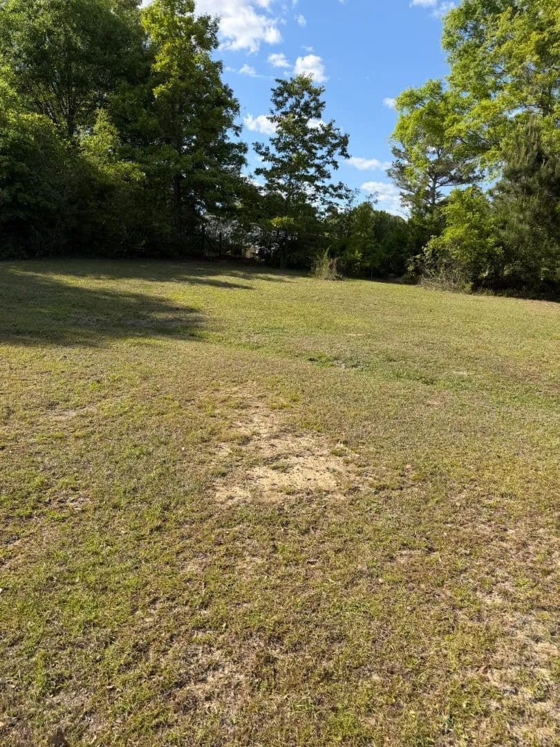 14 Acres with a Home in Covington County, AL
