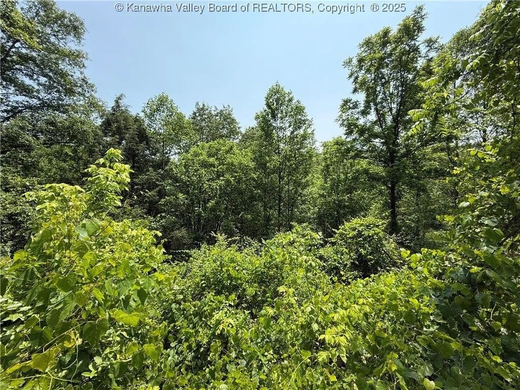 Lots & Land-Other in Charleston - Charleston, West Virginia, 25311