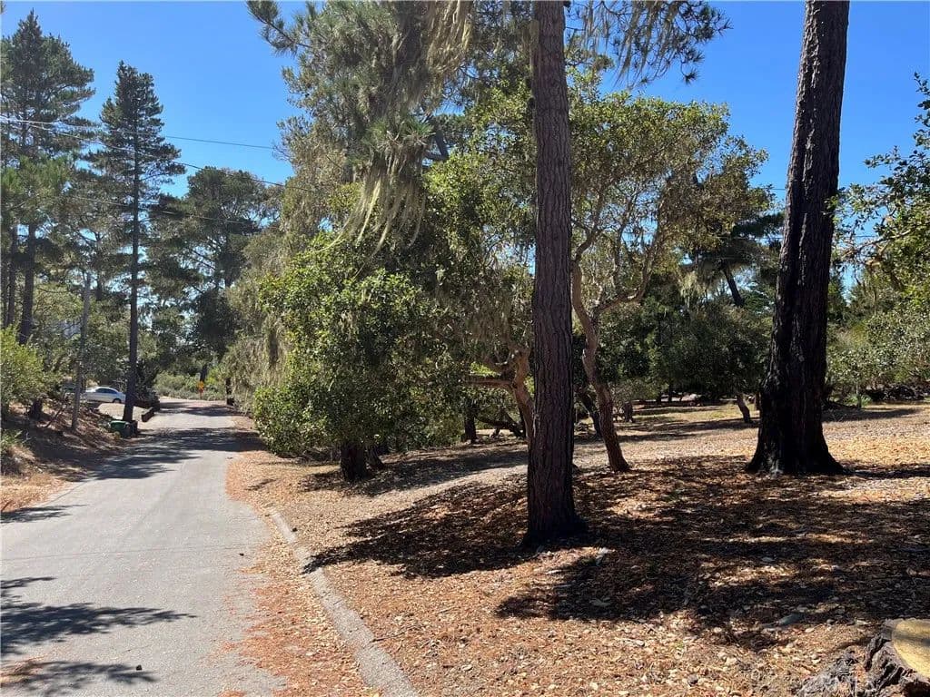 Vacant Land in Cambria - Cambria, California, 93428