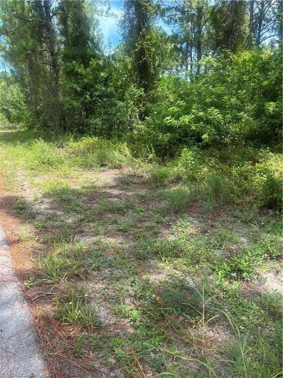 Vacant Land in Alva - Alva, Florida, 33920