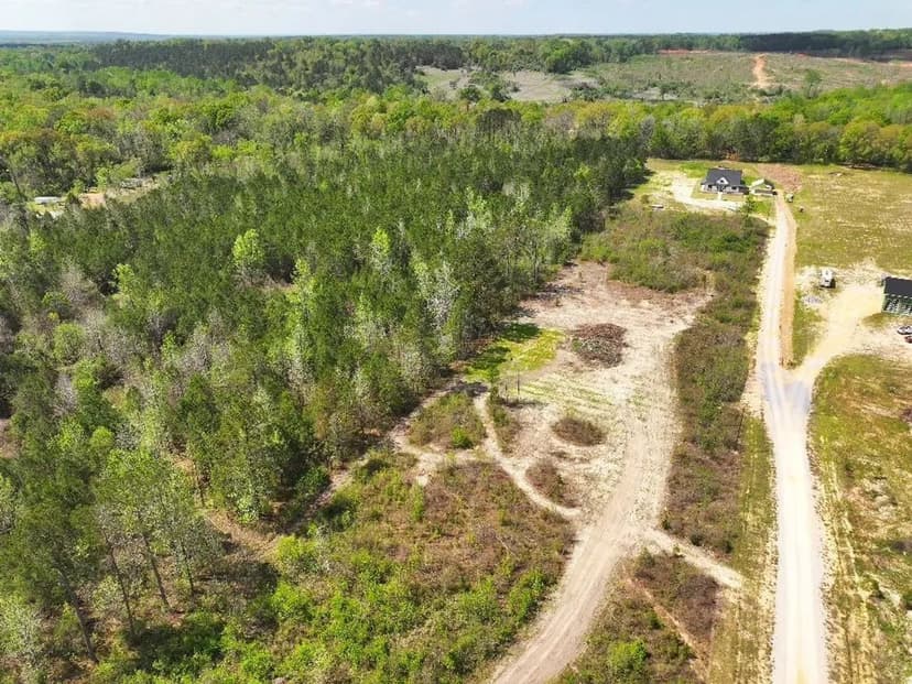 20 Acres in Autauga County Perfect for Building, Hunting or Recreation!