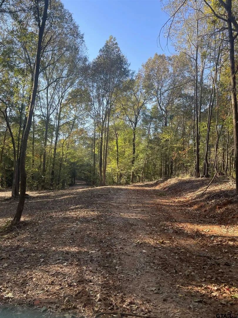 Lots & Land-Other in Pittsburg - Pittsburg, Texas, 75686