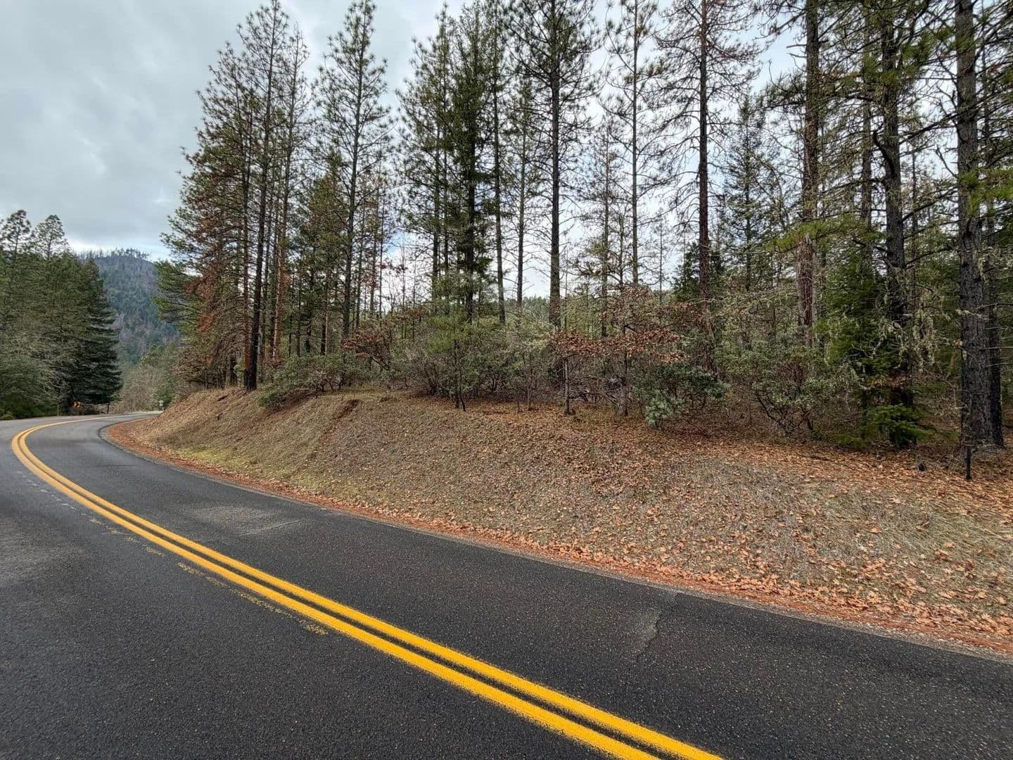 Lots & Land-Other in White City - White City, Oregon, 97503