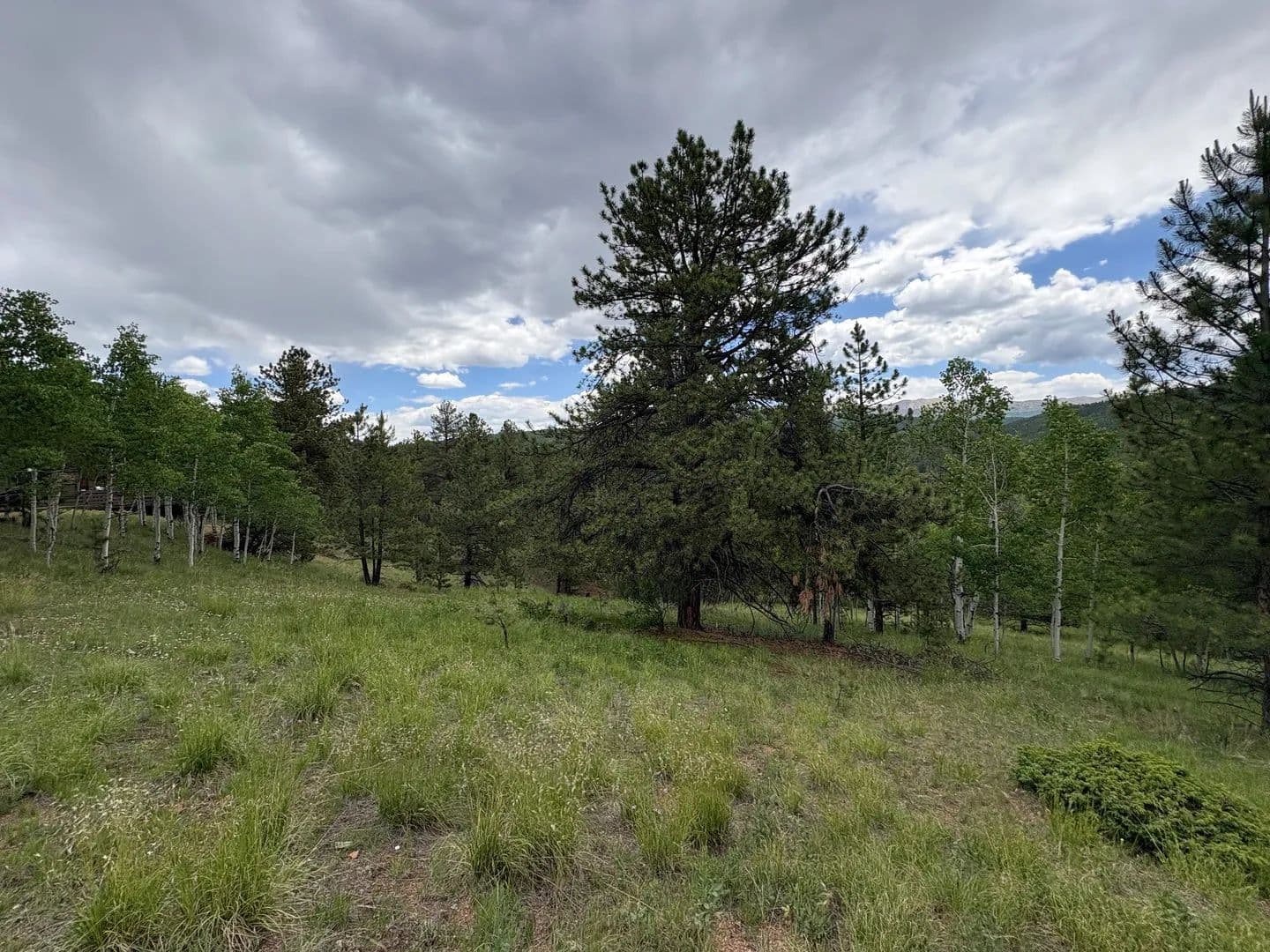 Vacant Land in Cripple Creek - Cripple Creek, Colorado, 80813