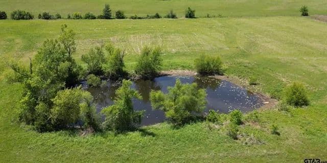 Vacant Land in Paris - Paris, Texas, 75460