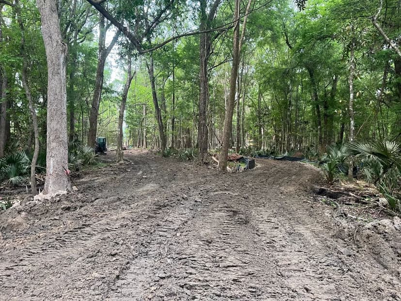 Vacant Land in Johns Island
