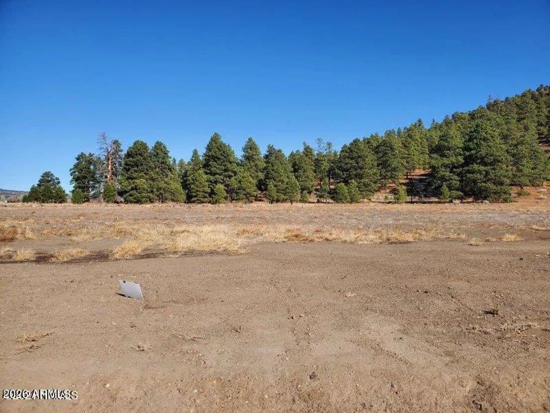 1 Acre of Land for Sale in Flagstaff, Arizona - Flagstaff, Arizona, 86004