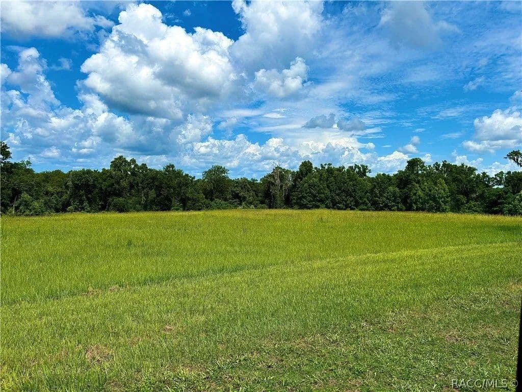 Lots & Land-Other in Brooksville - Brooksville, Florida, 34601