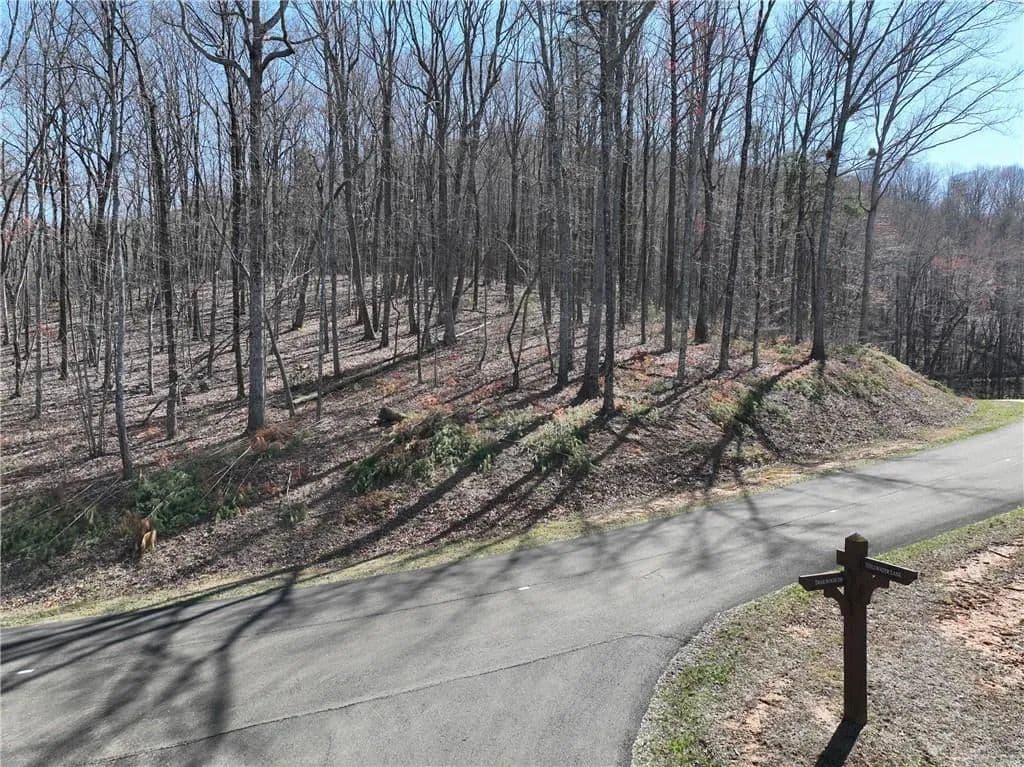 2.55 Acres of Land for Sale in Ellijay, GA - Ellijay, Georgia, 30536