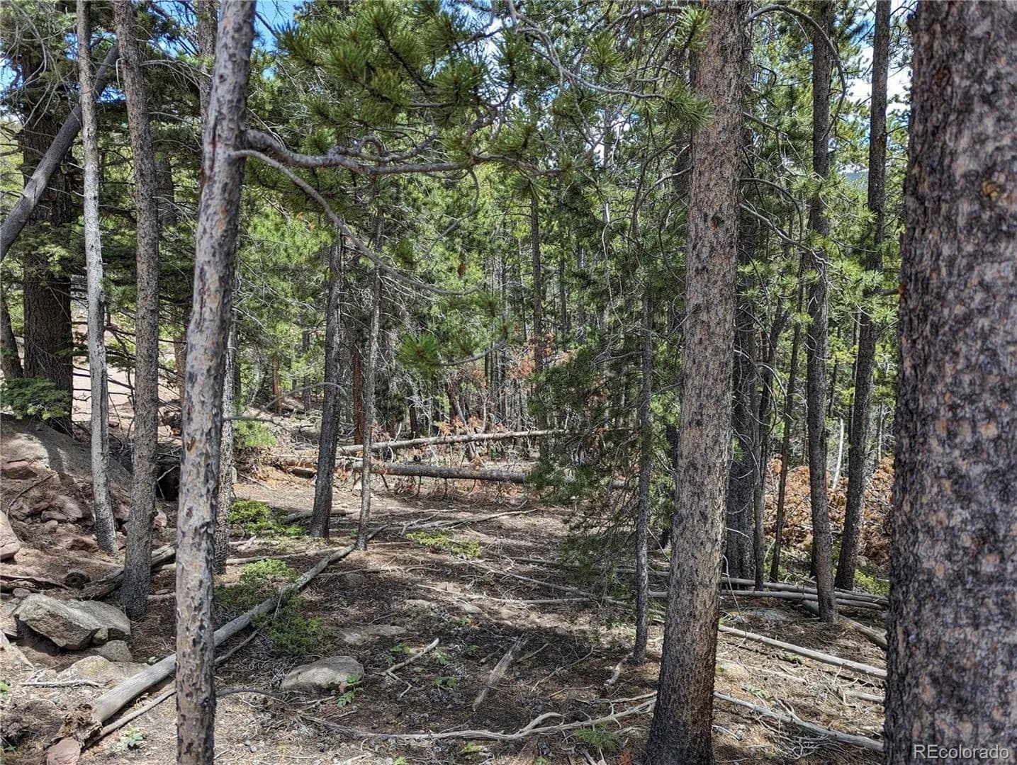 Property from 3159 Purnell Lane - KW - Fort Garland, Colorado, 81133