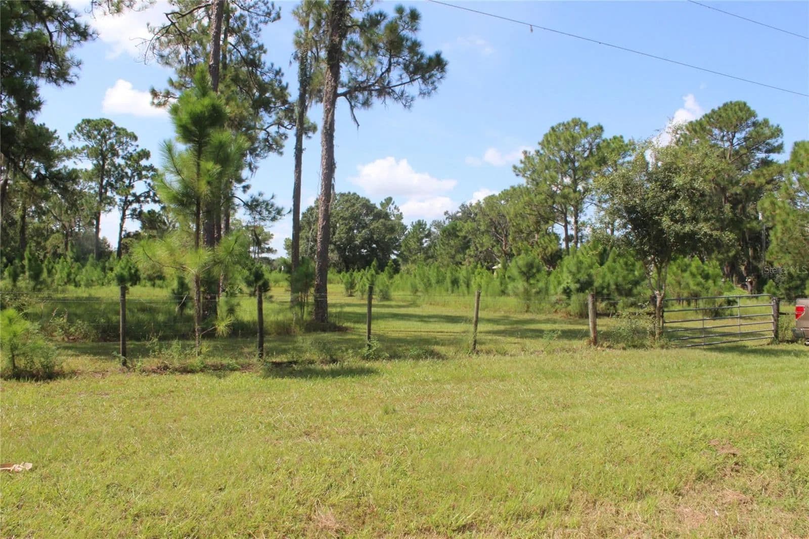24.28 Acres of Land for Sale in FROSTPROOF, FL - Frostproof, Florida, 33843