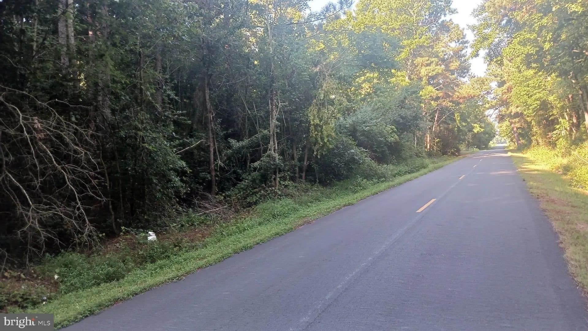 Lots & Land-Other in PARSONSBURG - Parsonsburg, Maryland, 21849