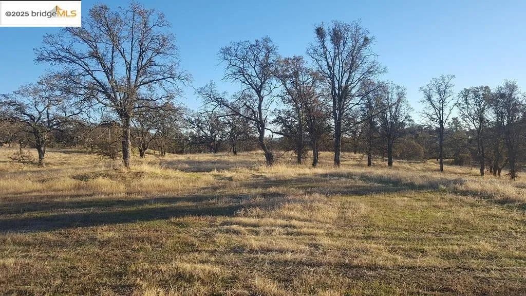 Lots & Land-Other in La Grange - La Grange, California, 95329