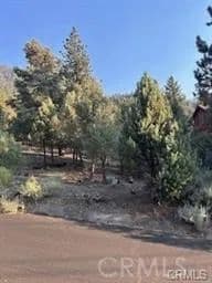Property from 15120 acacia - KW - Pine Mountain Club, California, 93222