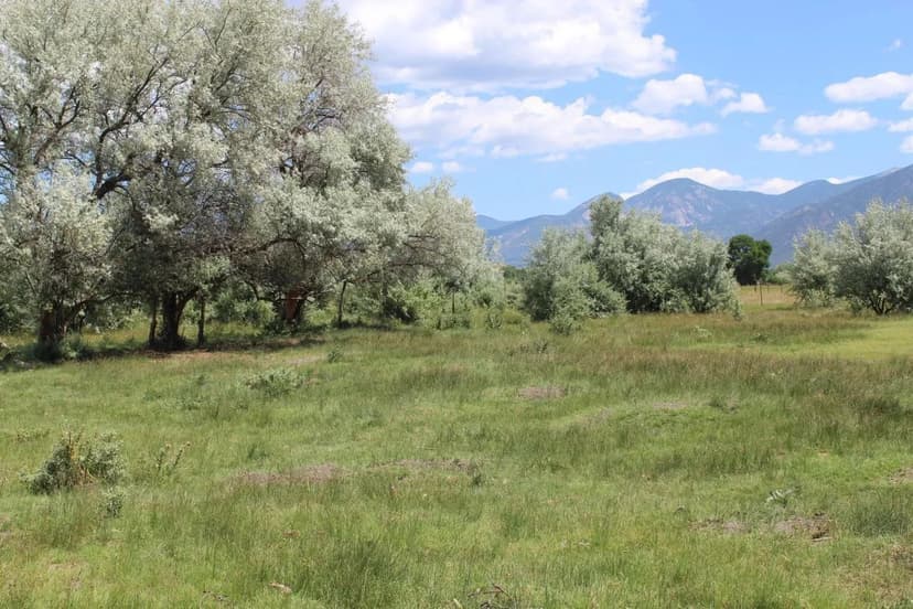 Land -Single Family Acreage in Taos